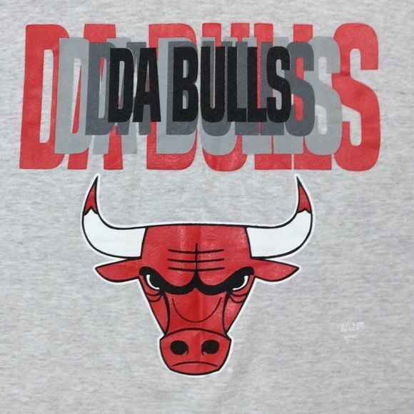 Vintage Chicago Bulls T-Shirt NBA Gray Made in USA Sz Lg Da Bulls Nutmeg Tee - Picture 3 of 6